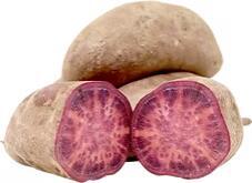 Purple Yam (White Skin)紫薯