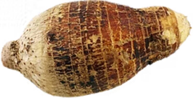 Taro (L) 大芋头