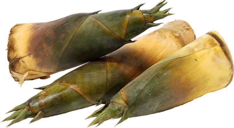 Bamboo Shoot 笋