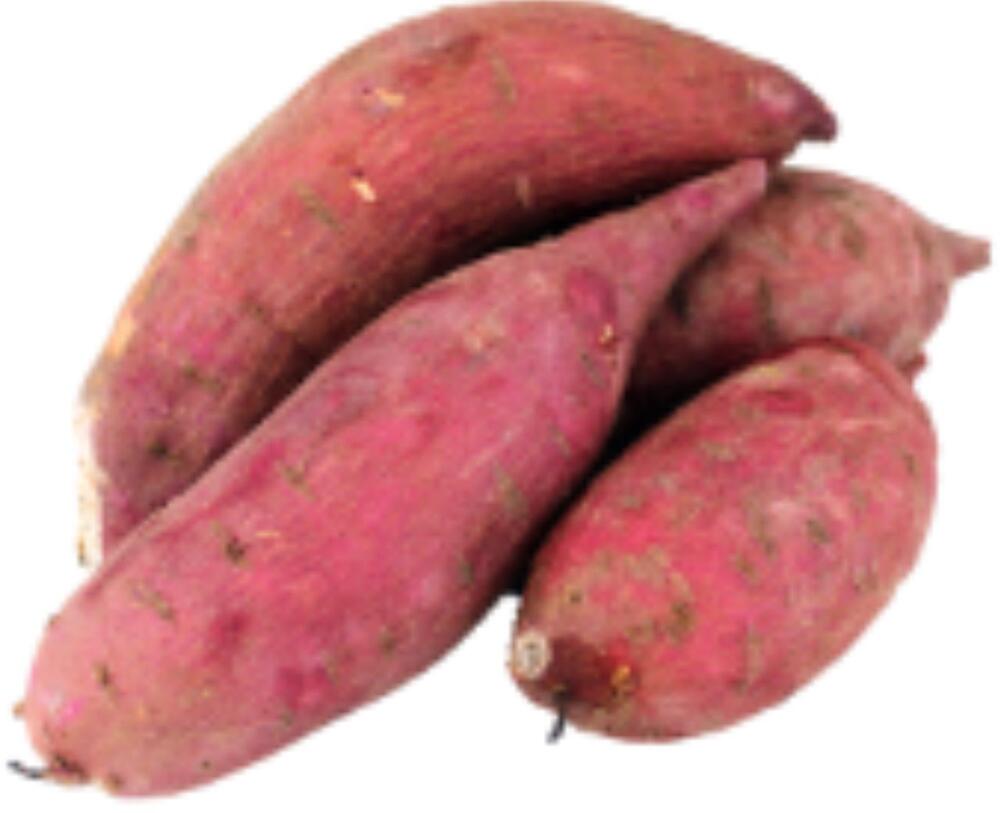 Japanese Sweet Potato 日本番薯