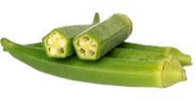 Okra 秋葵