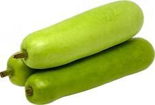 OPO Squash 蒲瓜