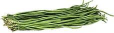 Long Bean 长豆