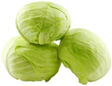 Taiwan Cabbage 台湾高丽菜
