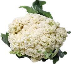 Cauliflower 花菜