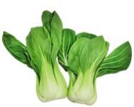 Shanghai Choy 上海菜