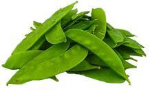 Snow Pea 雪豆