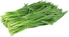 Green Chive 韭菜