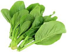 U Choy 油菜