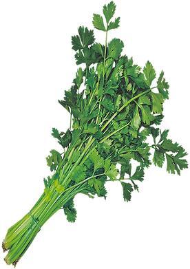 Celery 芹菜