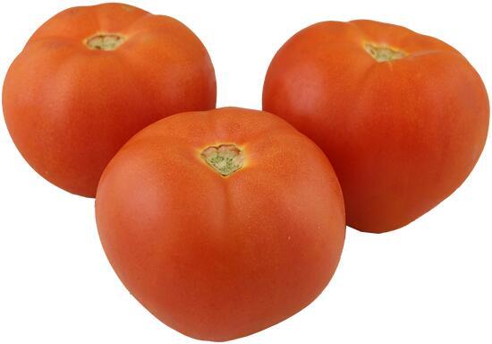 Tomato 圆番茄