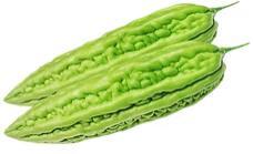 Bitter Melon 苦瓜