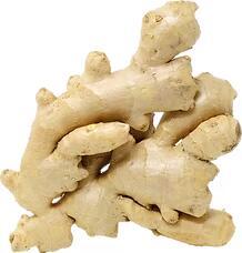 Ginger 姜