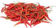 Thai Red Hot Pepper 泰国小辣椒