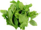 Snow Pea Leaves (King) 豆苗王