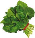 Spinach 菠菜