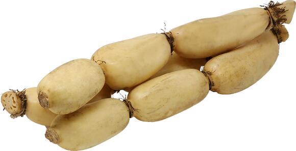 Lotus Root 莲藕