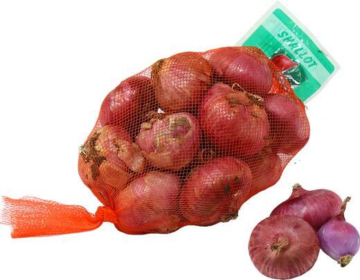 Shallot Onion