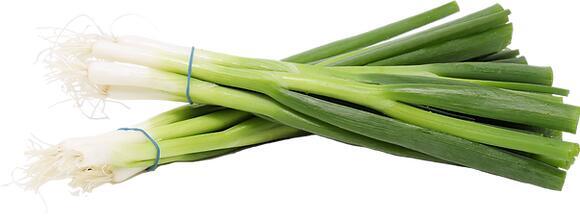 Green Onion 葱