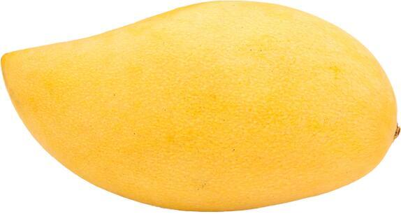 Mango(PC) 