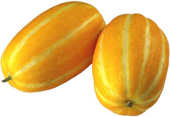 Korean Melon