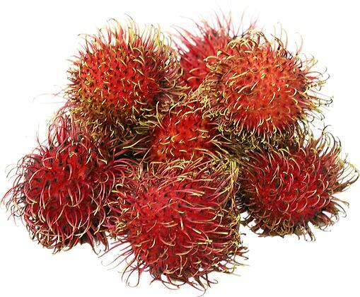 Rambutan 