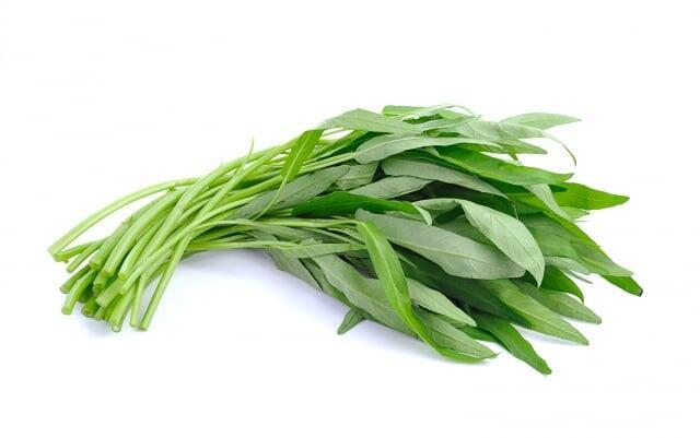 Water Spinach 空心菜