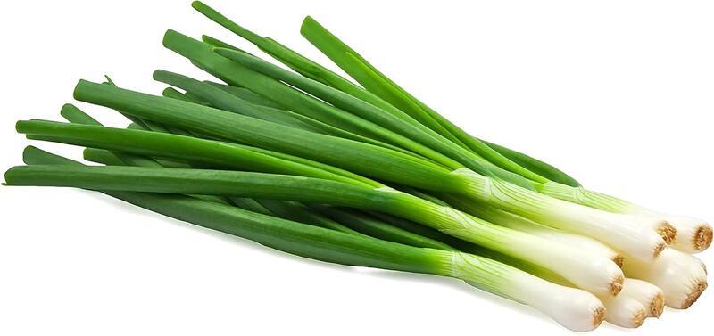 Chinese Leek 蒜苗