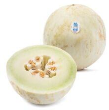 Melon
