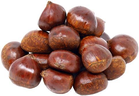 Chinese Chestnut 板栗