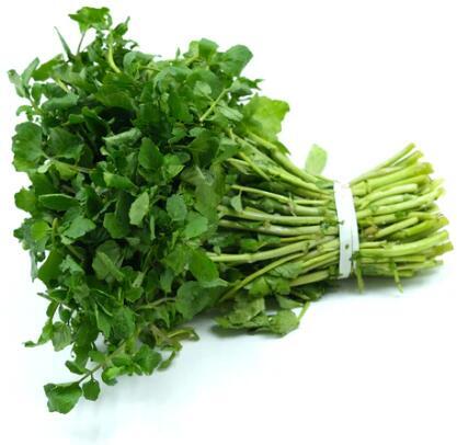 Watercress 西洋菜
